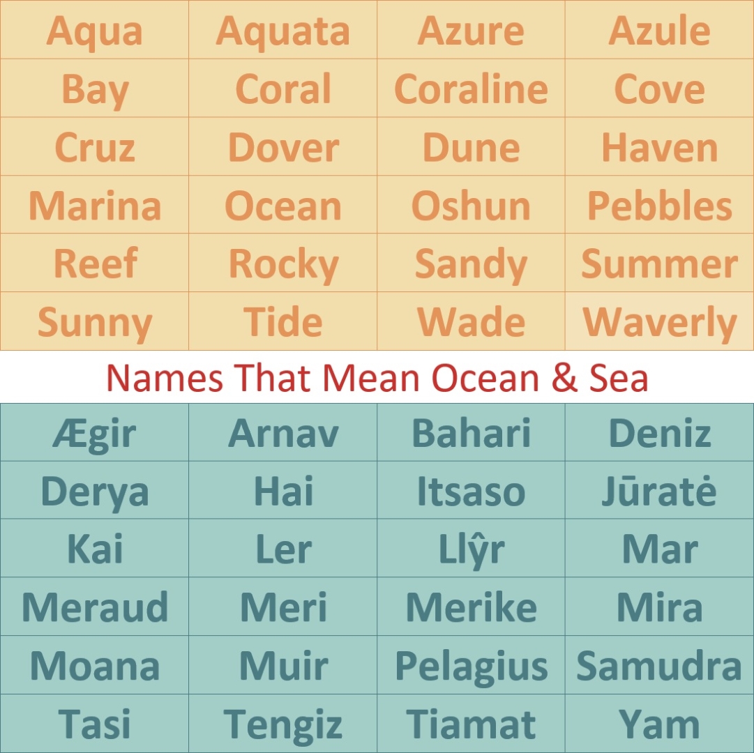Head To The Seaside With Stikins ® Name Labels